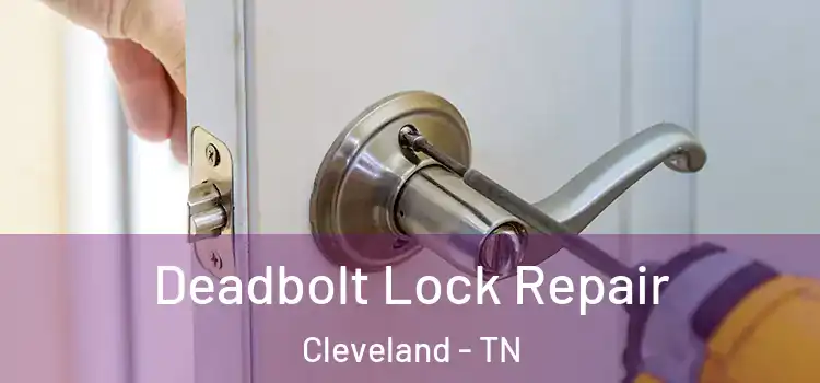 Deadbolt Lock Repair Cleveland - TN