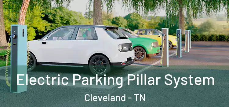 Electric Parking Pillar System Cleveland - TN