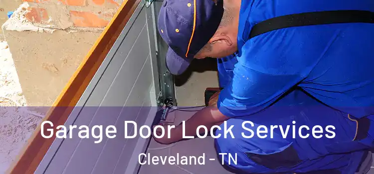 Garage Door Lock Services Cleveland - TN