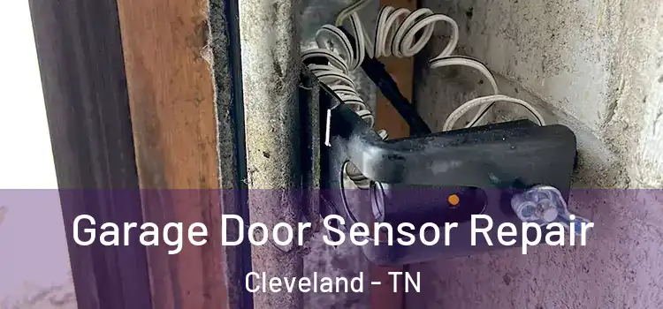 Garage Door Sensor Repair Cleveland - TN