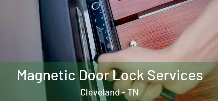 Magnetic Door Lock Services Cleveland - TN