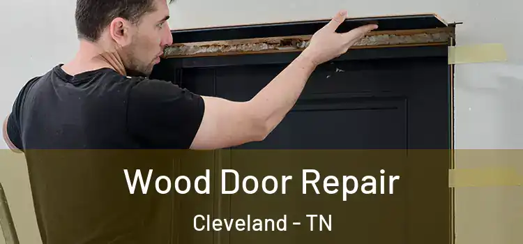  Wood Door Repair Cleveland - TN
